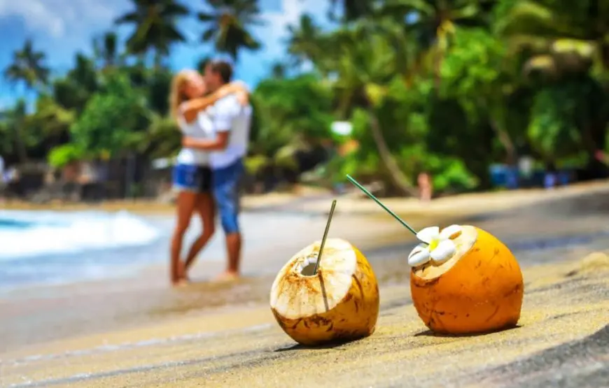 Romantic 8-Day Honeymoon Tour Package in Sri Lanka Luxury, Beaches, and Adventure