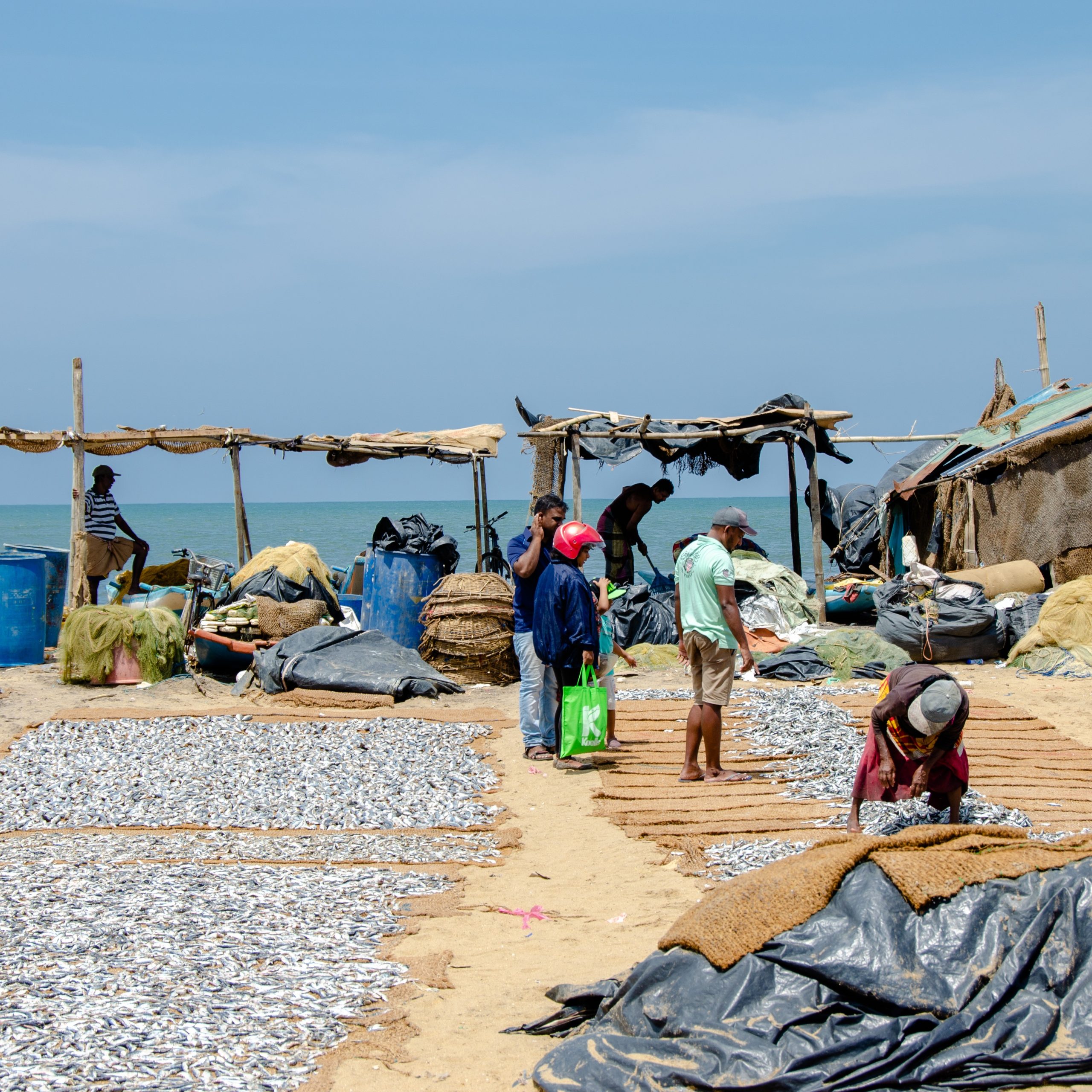 Day 2: Negombo to Trincomalee 