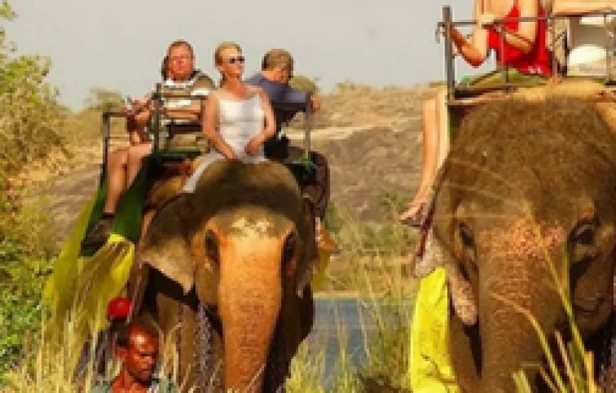 Tour Packages in Sri Lanka 15 Days