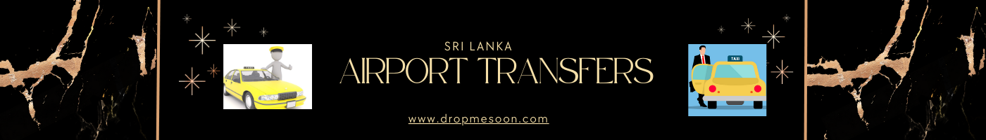 Airport Transfers