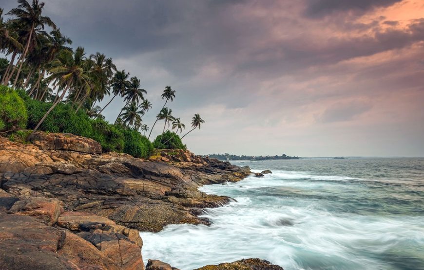 Tour Packages in Sri Lanka 15 Days