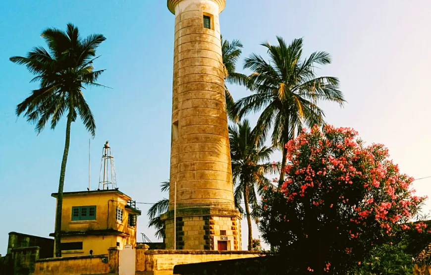 14-Day Sri Lanka Tour: Beaches, Heritage and Wildlife