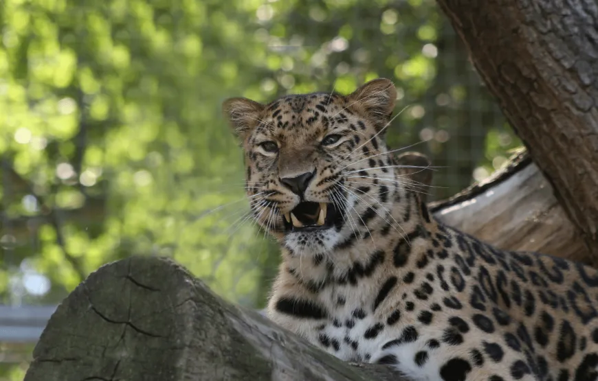 14-Day Sri Lanka Tour: Beaches, Heritage and Wildlife