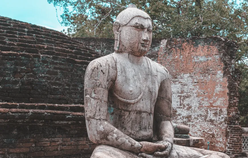 14-Day Sri Lanka Tour: Beaches, Heritage and Wildlife