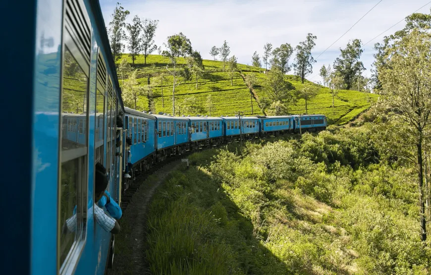 14-Day Sri Lanka Tour: Beaches, Heritage and Wildlife