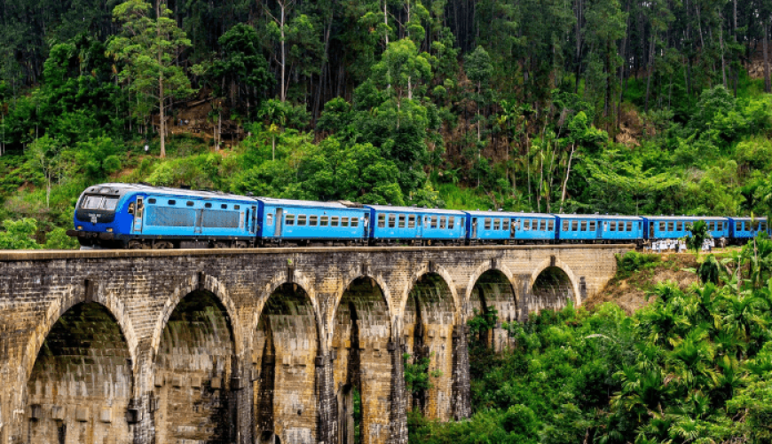 Tour Operators in Sri Lanka