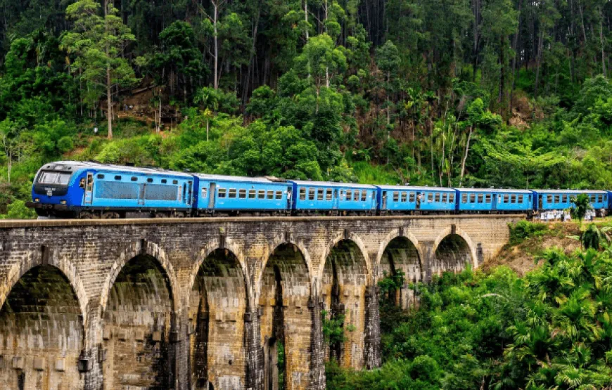 14-Day Sri Lanka Tour: Beaches, Heritage and Wildlife