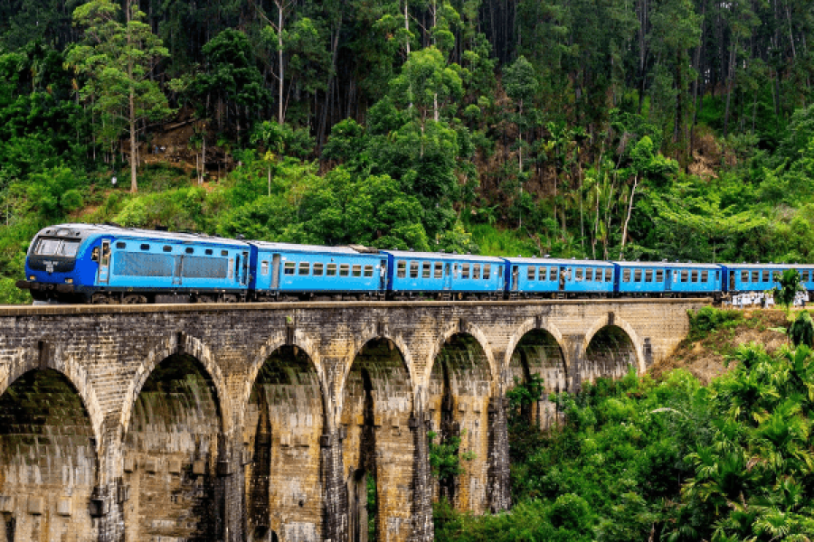 Tour Operators in Sri Lanka