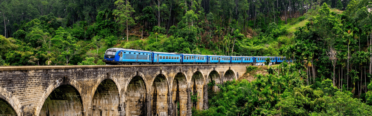 Day 10: Nuwara Eliya & Train Journey to Ella 