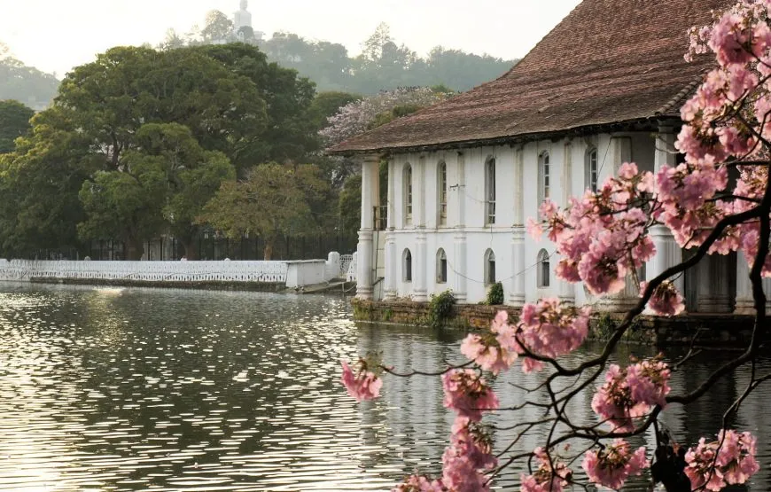 14-Day Sri Lanka Tour: Beaches, Heritage and Wildlife