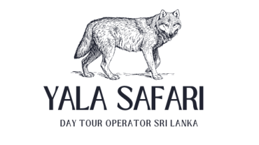 Day Tour Operator Sri Lanka