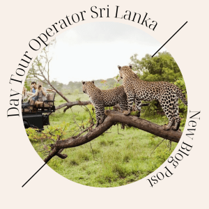 Day Tour Operator Sri Lanka