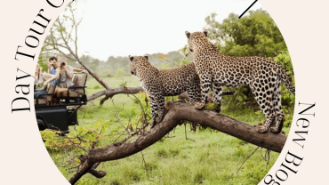 Day Tour Operator Sri Lanka
