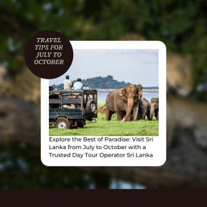 Day Tour Operator Sri Lanka