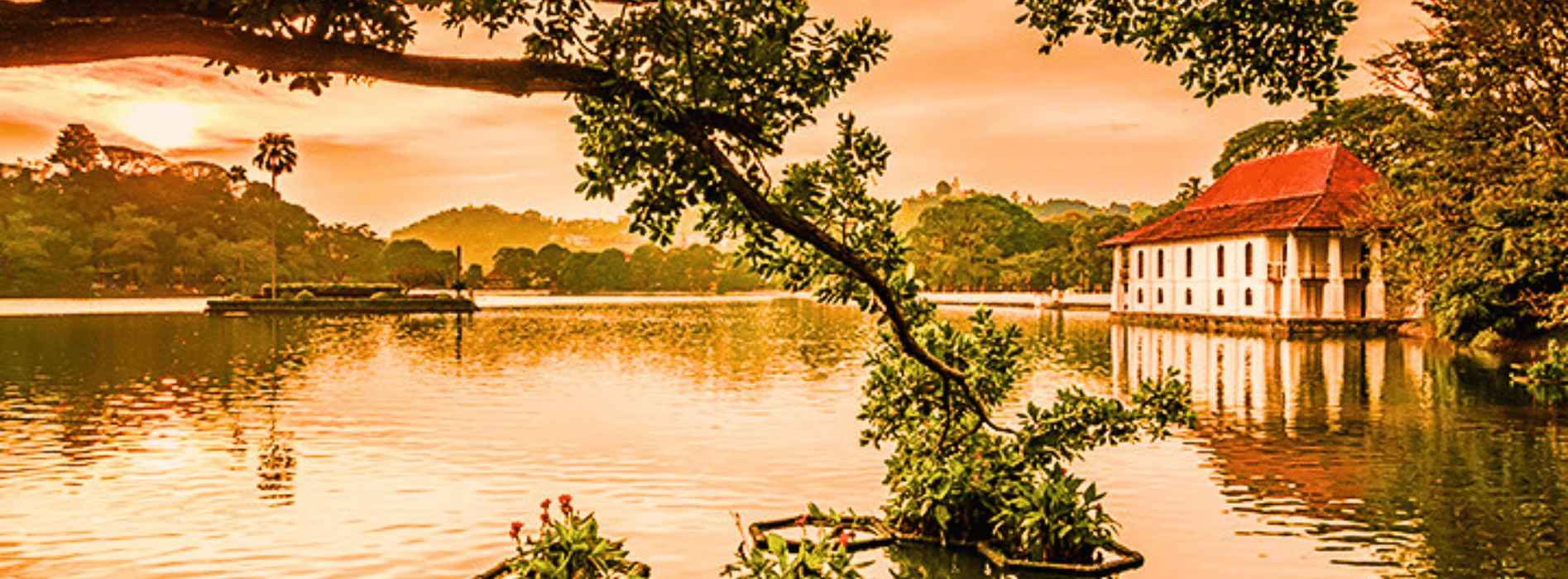 Kandy Day Tour