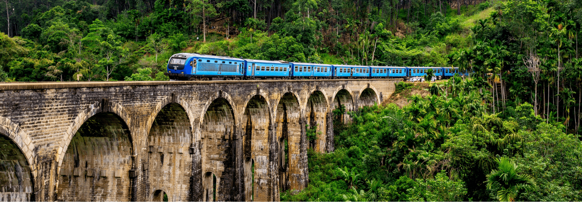 Nuwara Eliya Highlands Tour