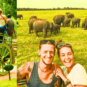 Where Can We Go for a One Day Trip in Sri Lanka?