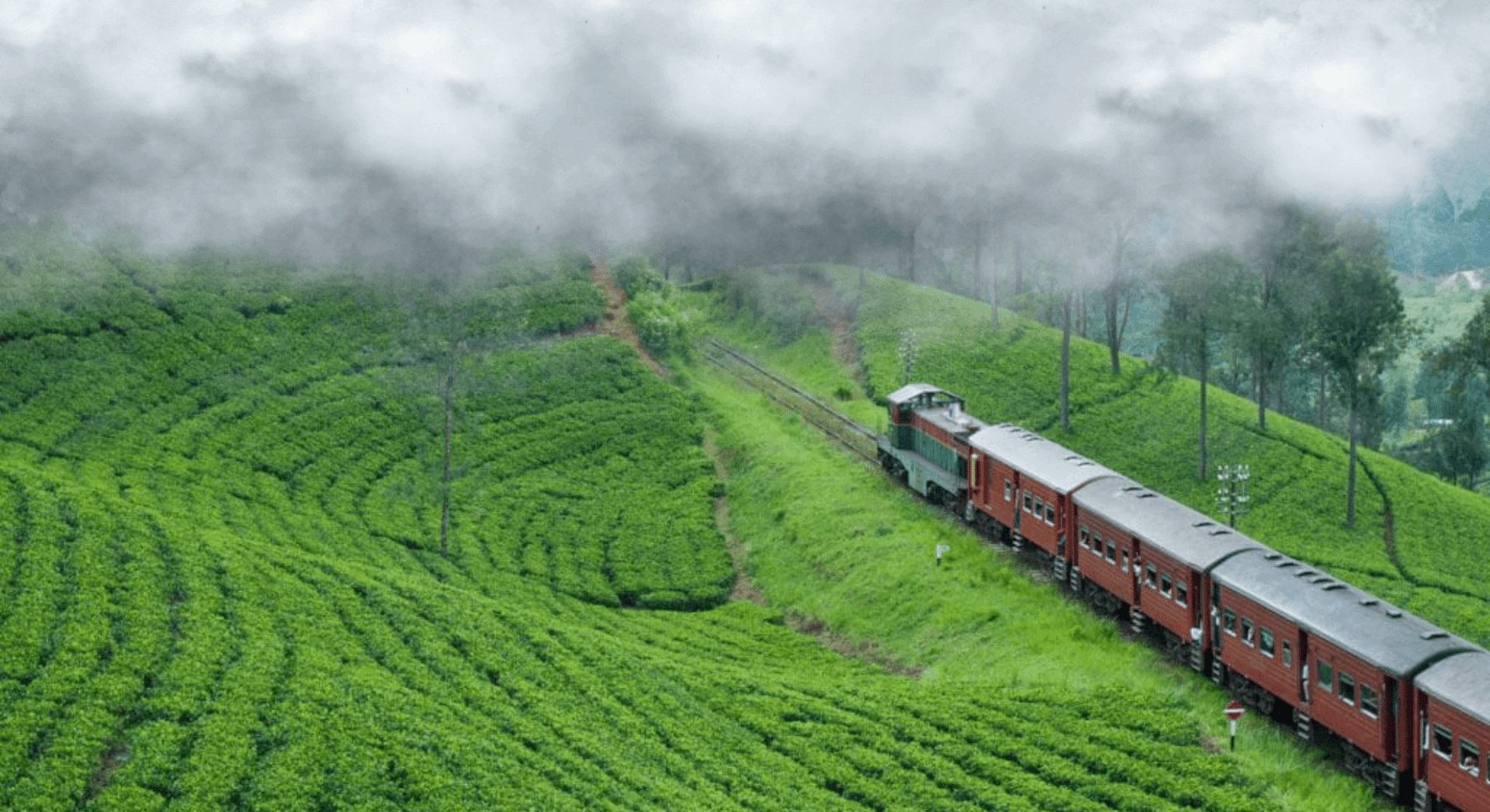 Day 4: Kandy → Nuwara Eliya – Tea Estate Tour & Scenic Train Ride 