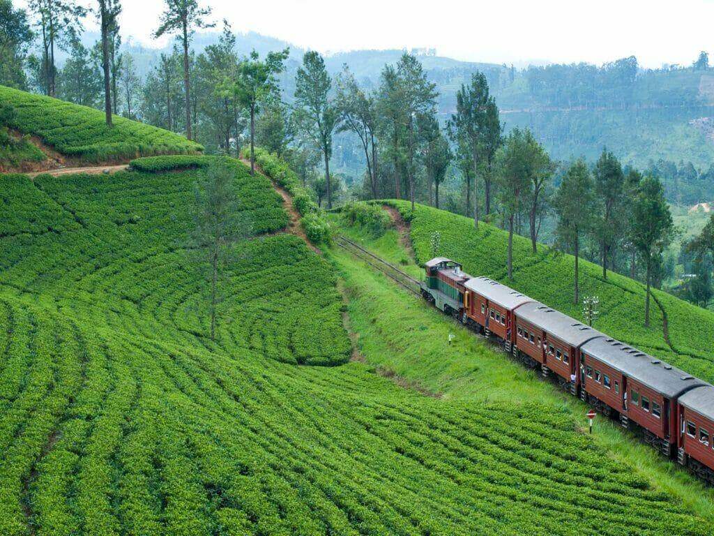 Day 5 – Nuwara Eliya → Ella by Scenic Train