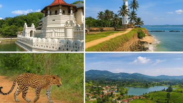 Top 7 Unexpected Sri Lanka Day Trips from Colombo in 2025