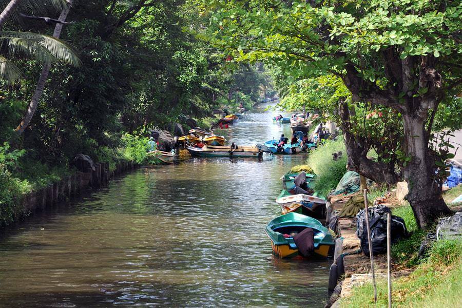 Negombo Lagoon Boat Ride 