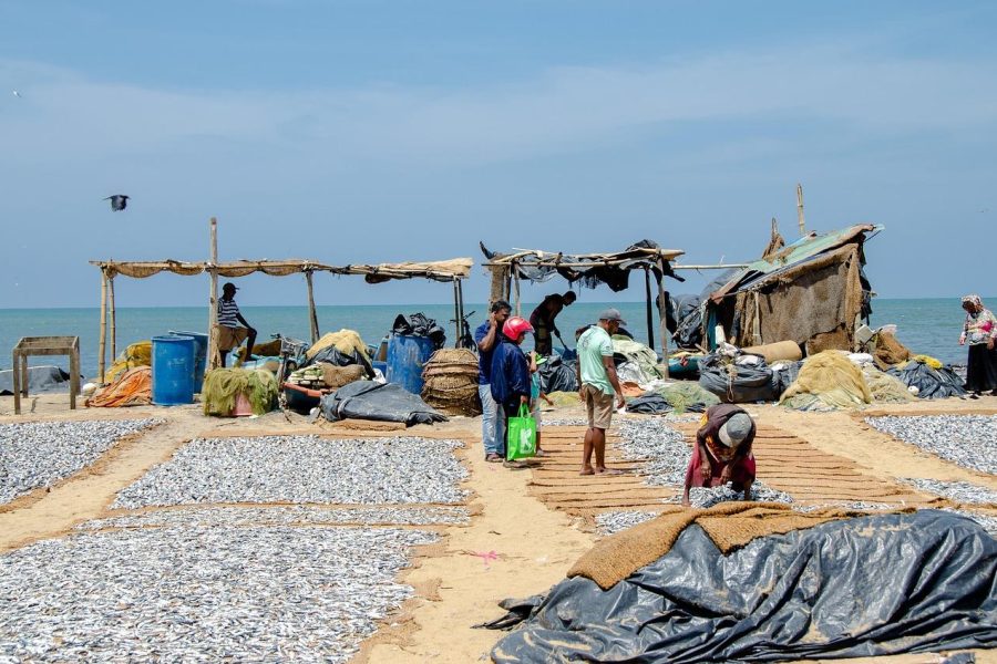 Negombo Day Tour from Colombo