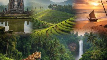Sri Lanka Tourism