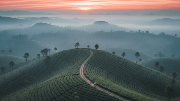 Sri Lanka Travel 2026