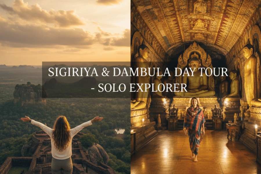 Sigiriya & Dambulla day tour from Colombo for solo travelers