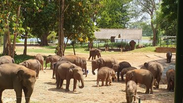 Sri Lanka day tour