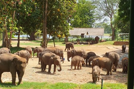 Sri Lanka day tour