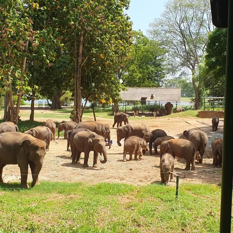 Sri Lanka day tour