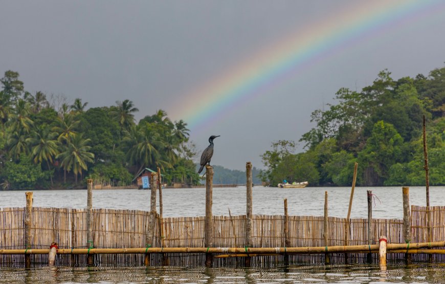 4-Day Beach Tour of Sri Lanka