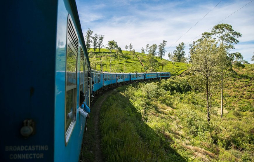 Colombo to Galle Day Tour