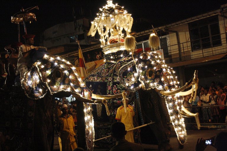 A lit-up elephant in the Kandy Esala Perahera procession at night