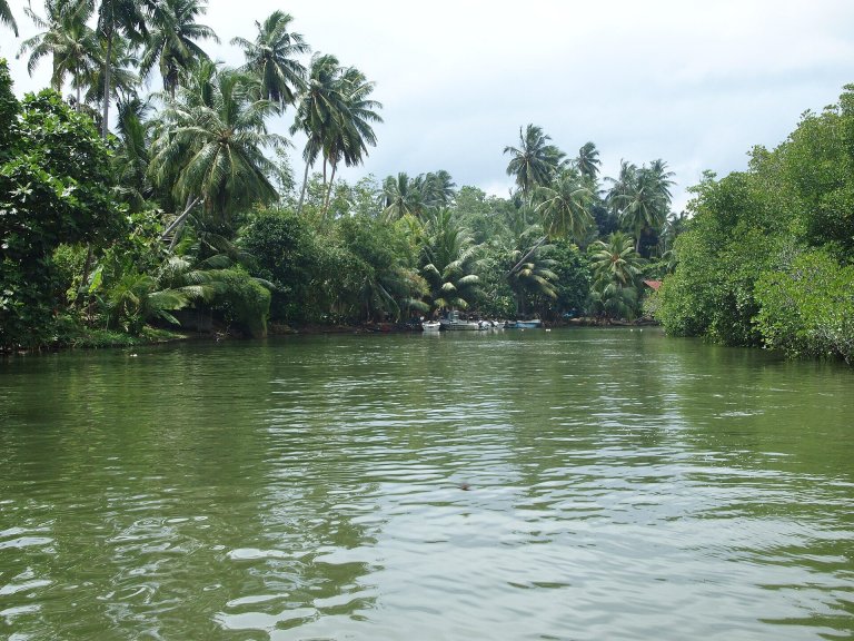 Day 03 - Leisure in Bentota