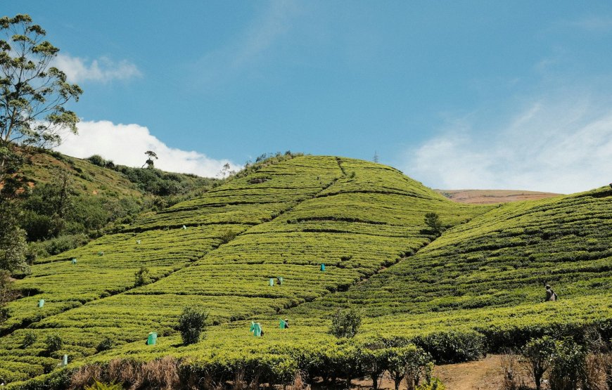 13-Day Cultural Tour of Sri Lanka – Classic Tour