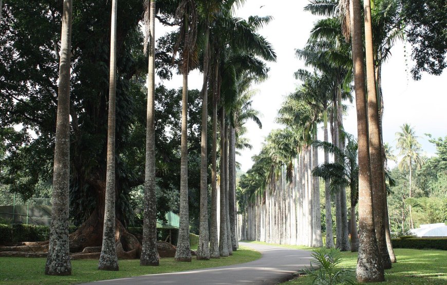 13-Day Cultural Tour of Sri Lanka – Classic Tour
