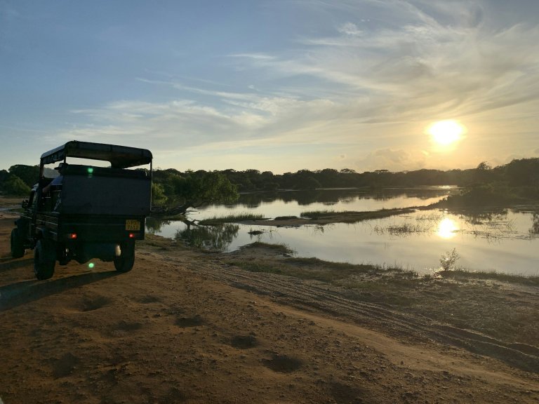 Day 13: Ella to Yala and an afternoon safari
