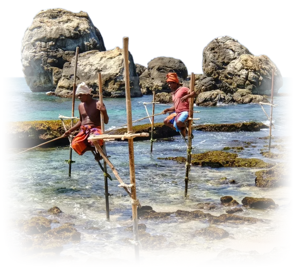 Two stilt fishermen on their poles among the rocks on the south coast of Sri Lanka