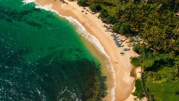 Silent Beach near Tangalle from the air, with palm trees and clear green water
