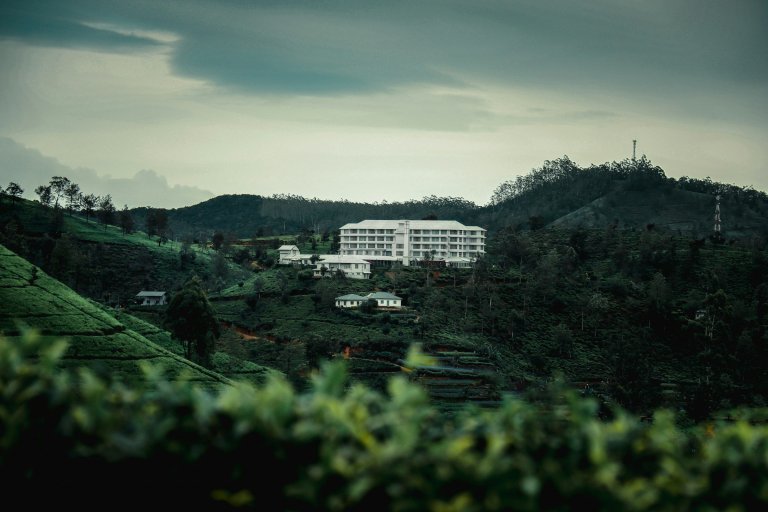 Day 10: Temple of the Tooth, tea country and Nuwara Eliya