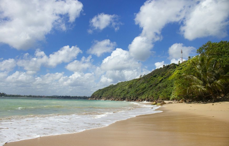 Colombo to Galle Day Tour