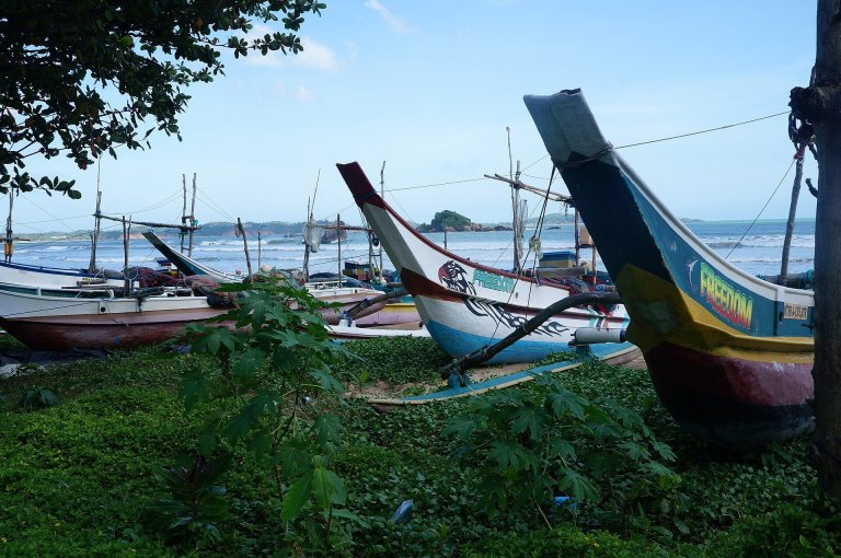 Day 8: Last surf day in Weligama