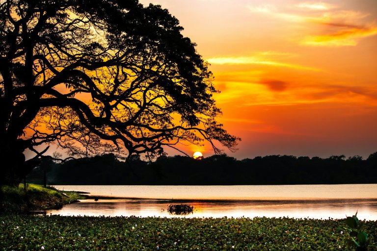Day 2: Negombo, Wilpattu safari and on to Anuradhapura