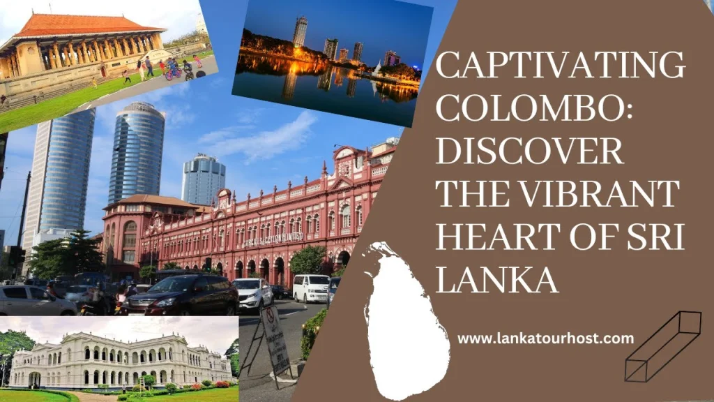 Video: Colombo