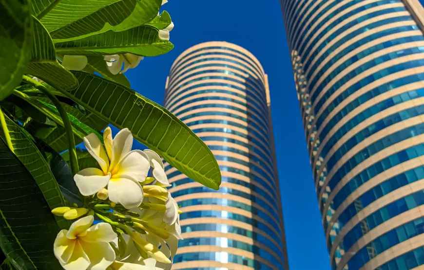 Colombo City Tour – Private