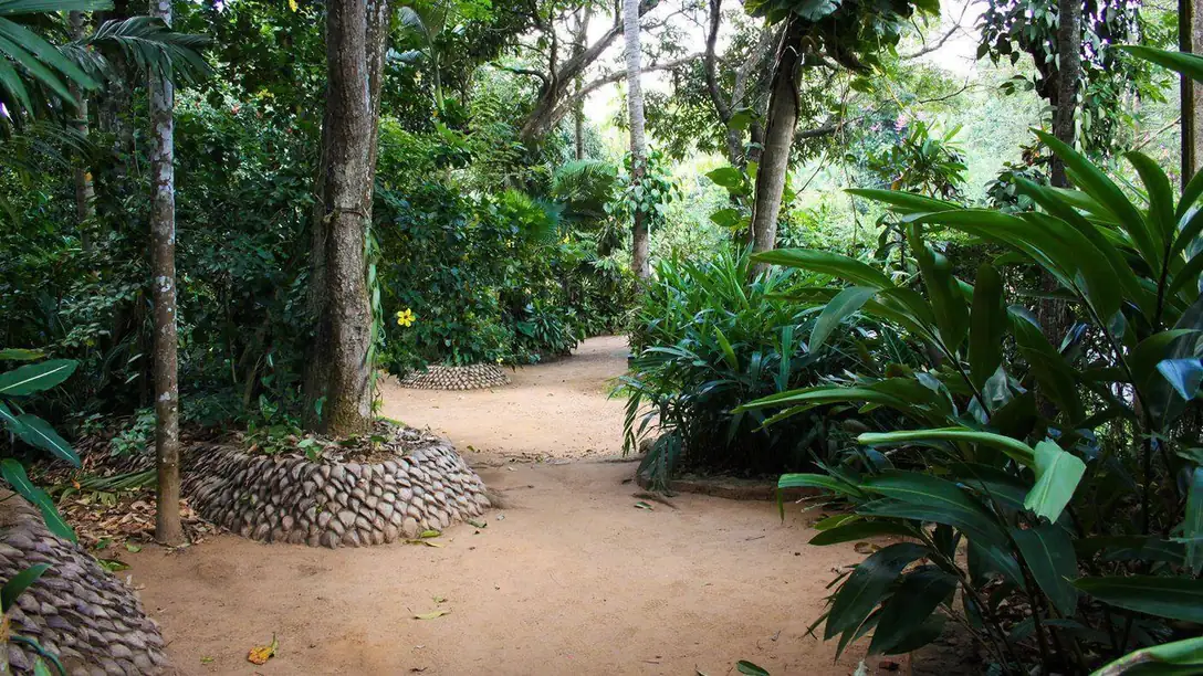 Herbal Spice Garden 