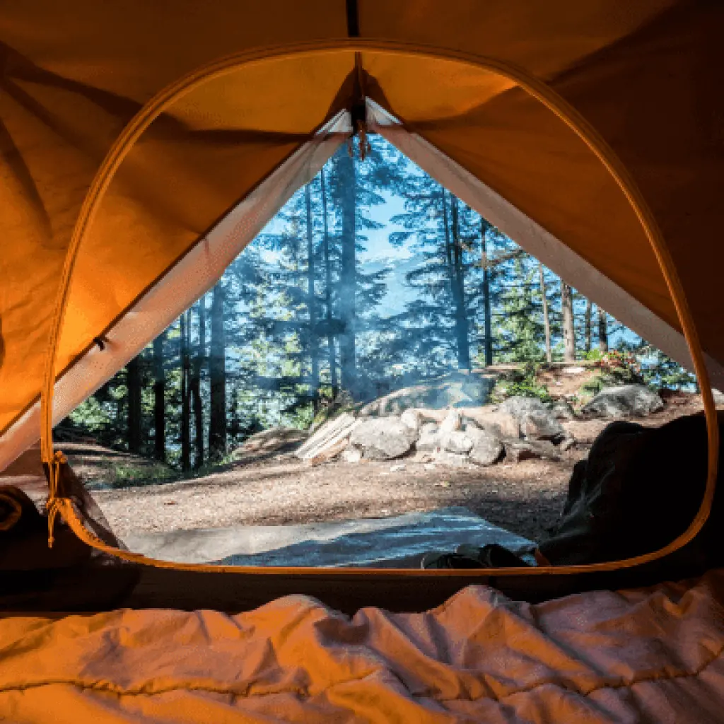 View from inside a tent at a forest campsite