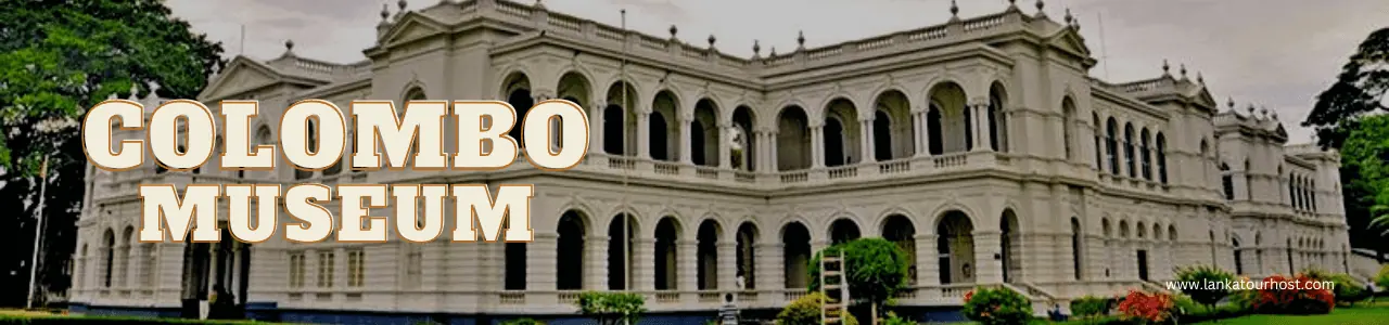 Activities to Experience in Colombo